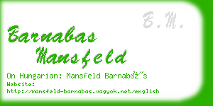 barnabas mansfeld business card